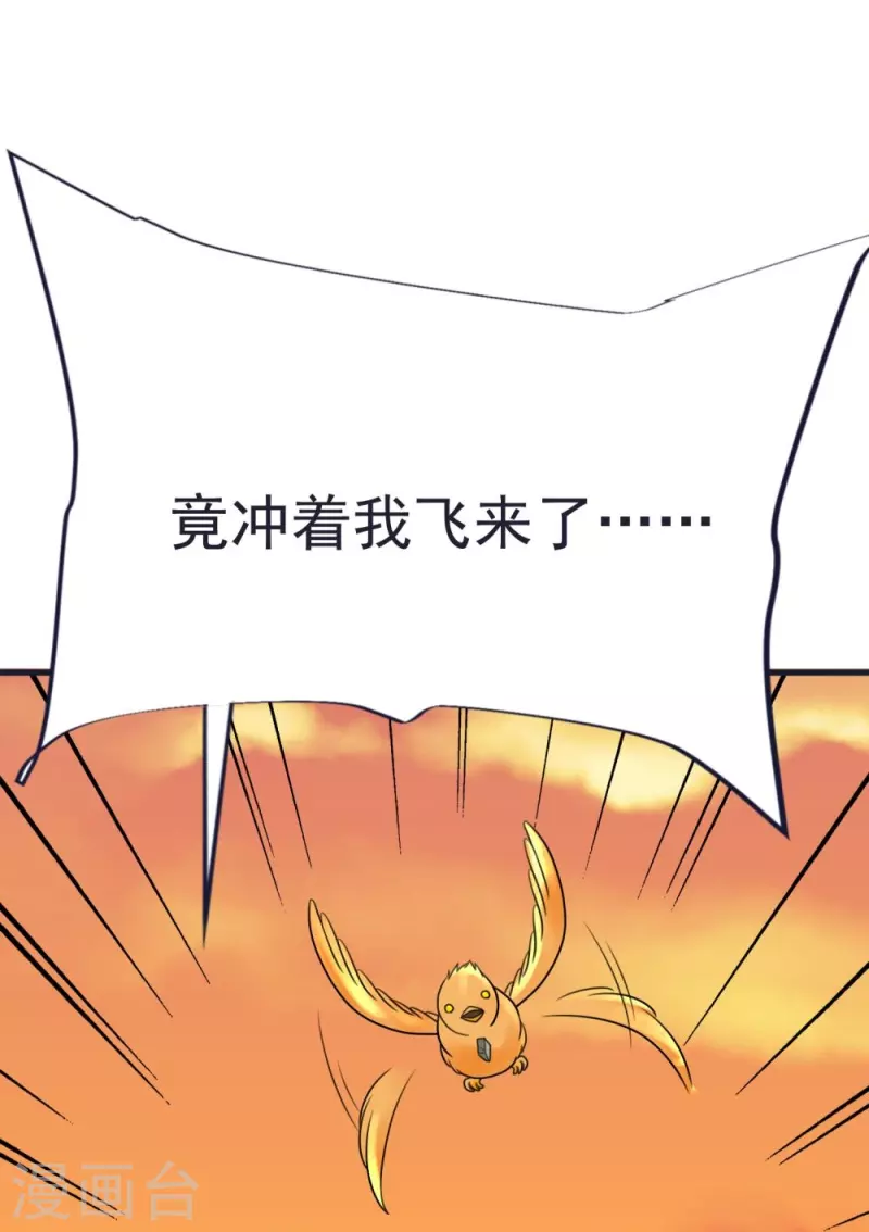 第64话 小金针鸟-第67话