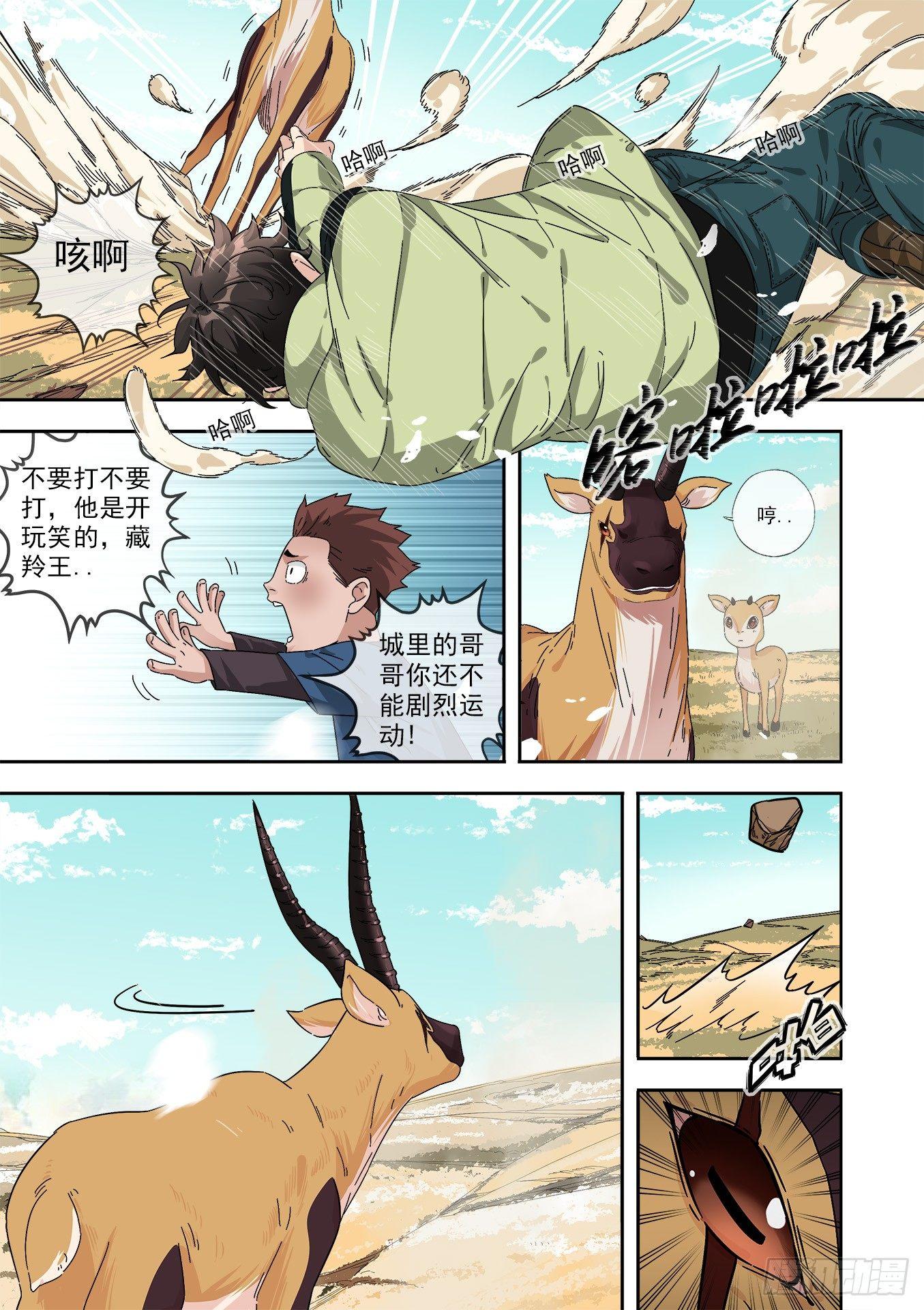 13.陆荒原VS藏羚王-第13话