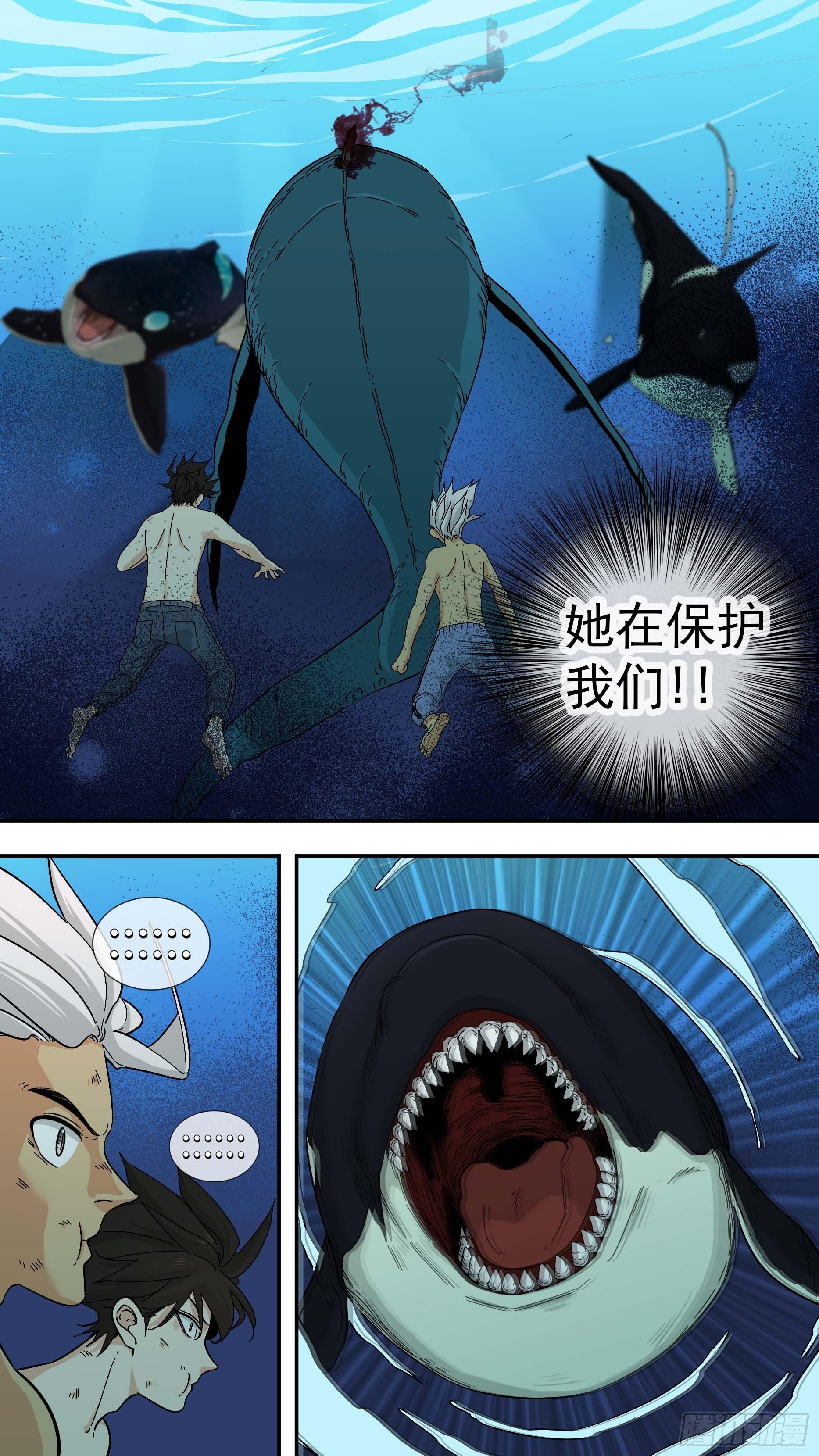 【鲸落】座头鲸VS虎鲸-第95话