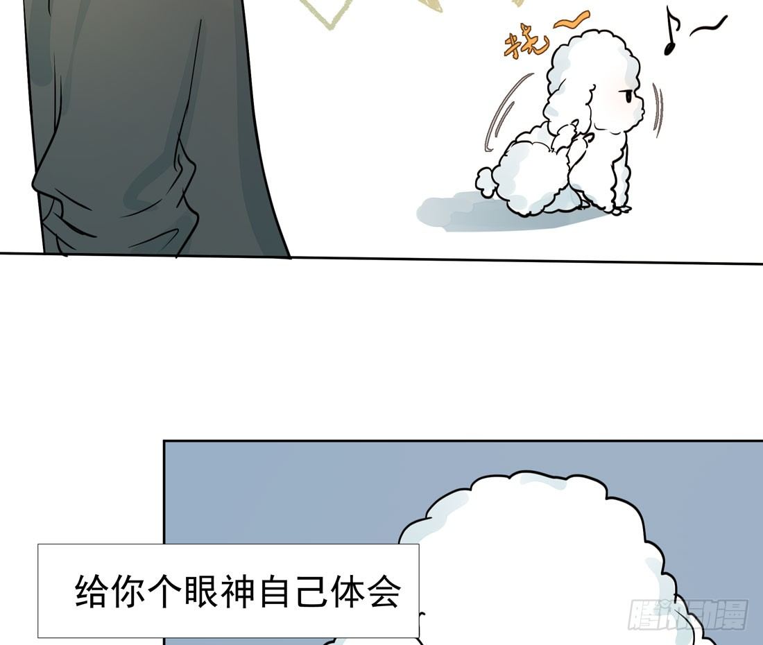 慰藉(1/2)-第37话
