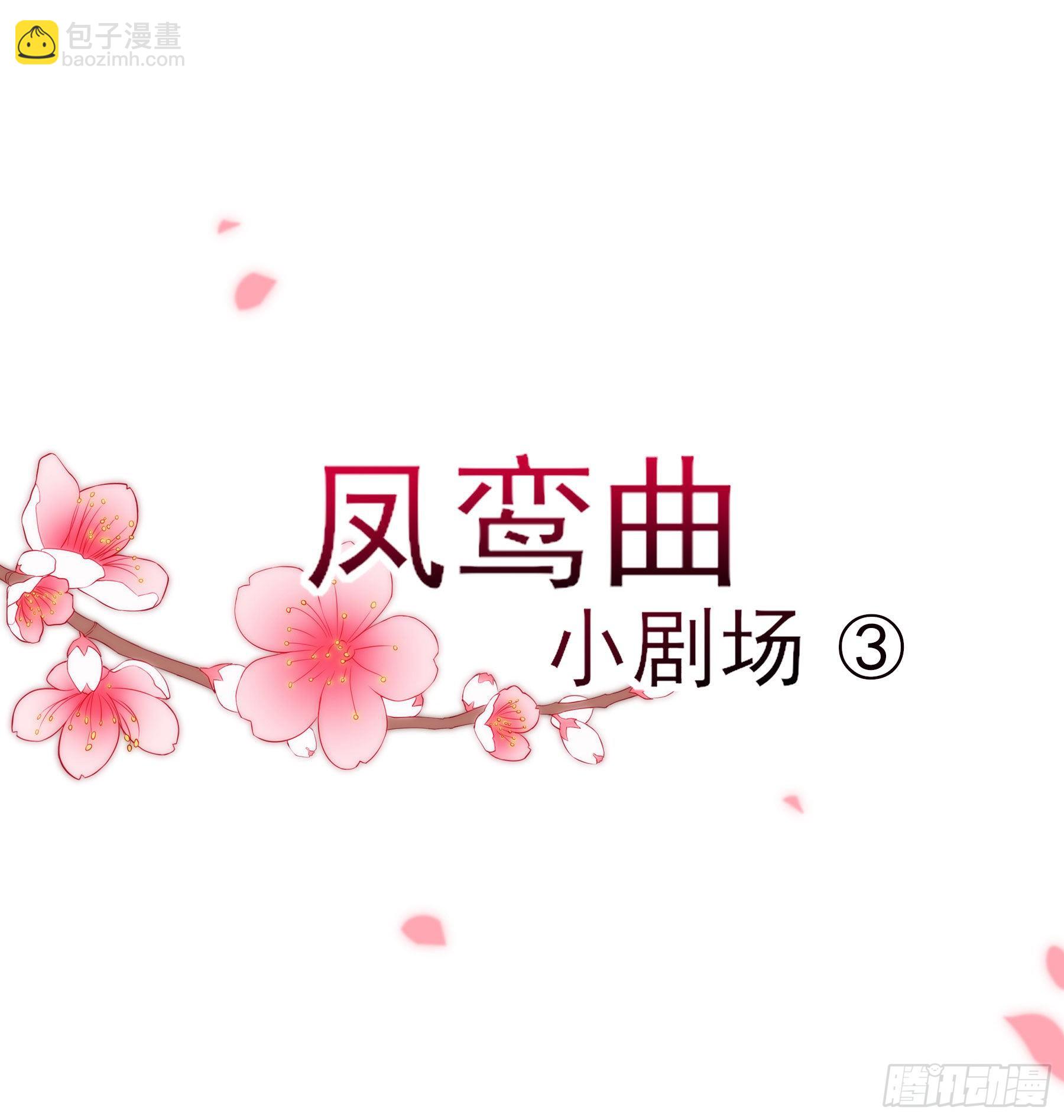 凤鸾篇&middot;27话 小剧场-第29话