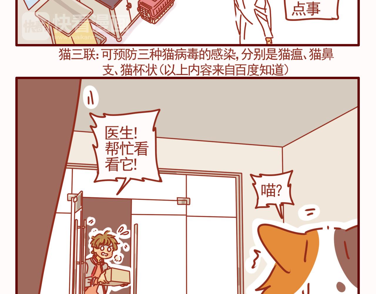 第40话 有猫就是不一样-第41话
