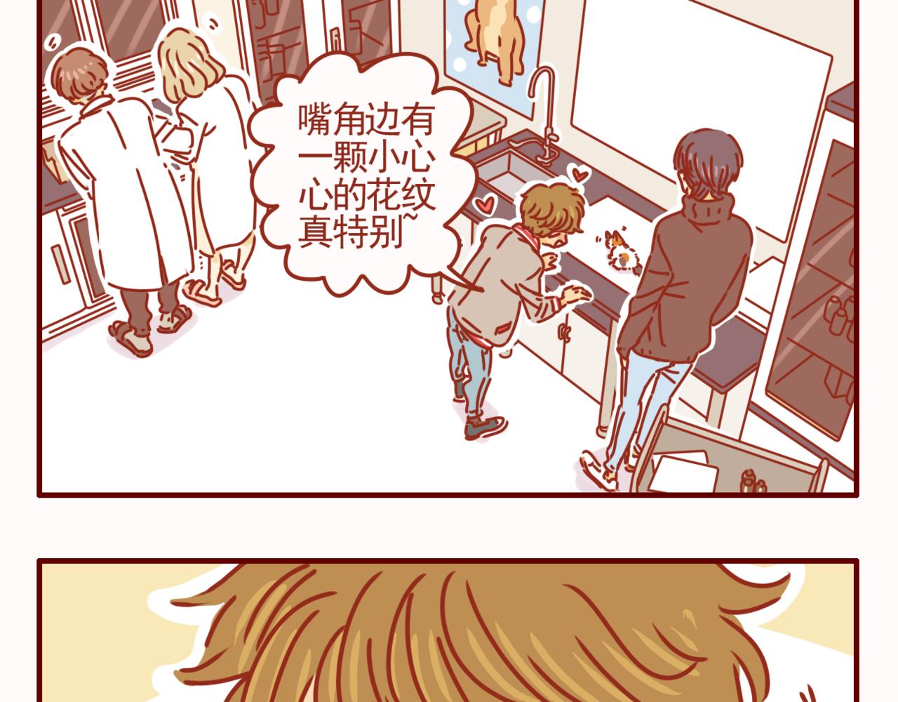 第40话 有猫就是不一样-第41话