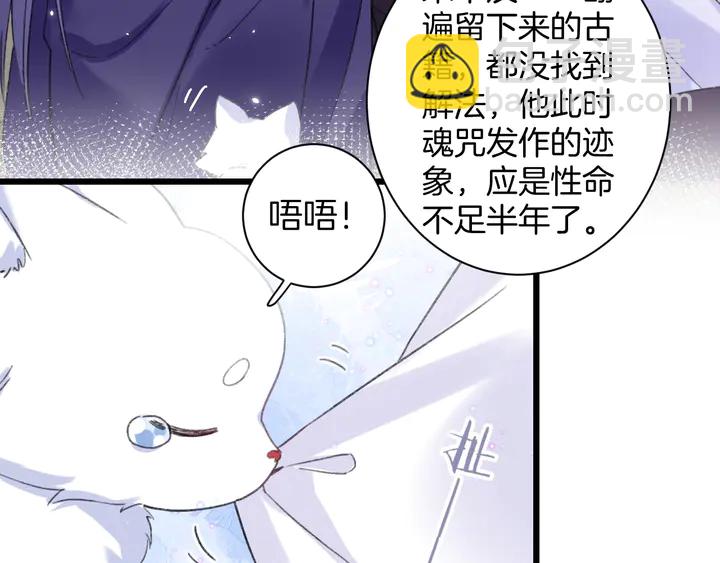 完结篇 与你共看南楚盛世(1/2)-第211话