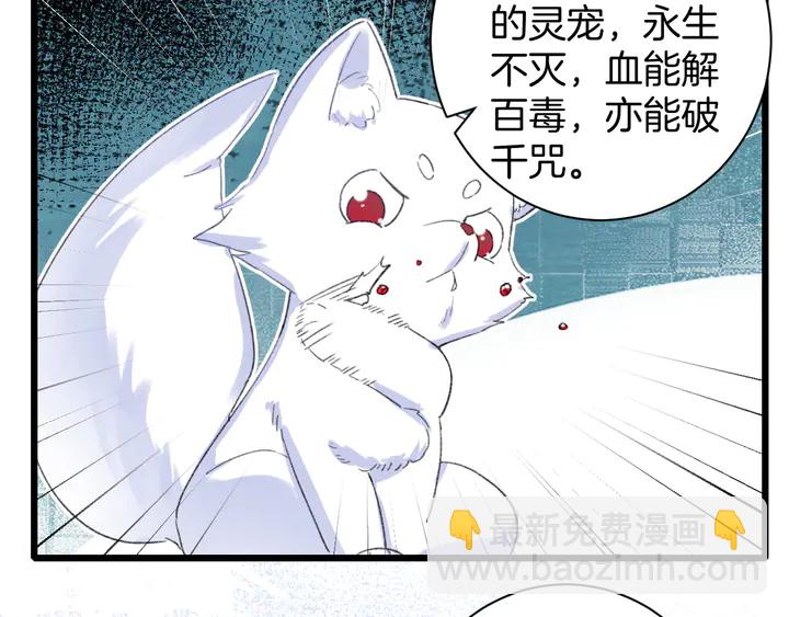 完结篇 与你共看南楚盛世(1/2)-第211话