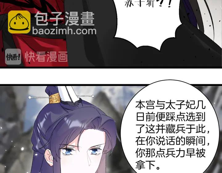 完结篇 与你共看南楚盛世(1/2)-第211话