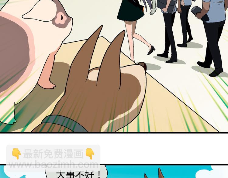 第70话 萌宠出击！(1/2)-第71话