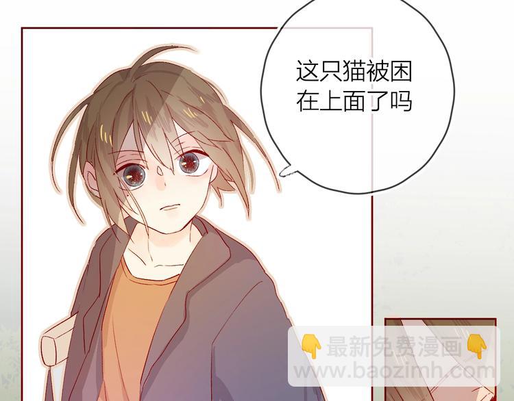 番外2 久桃的flag(1/2)-第15话