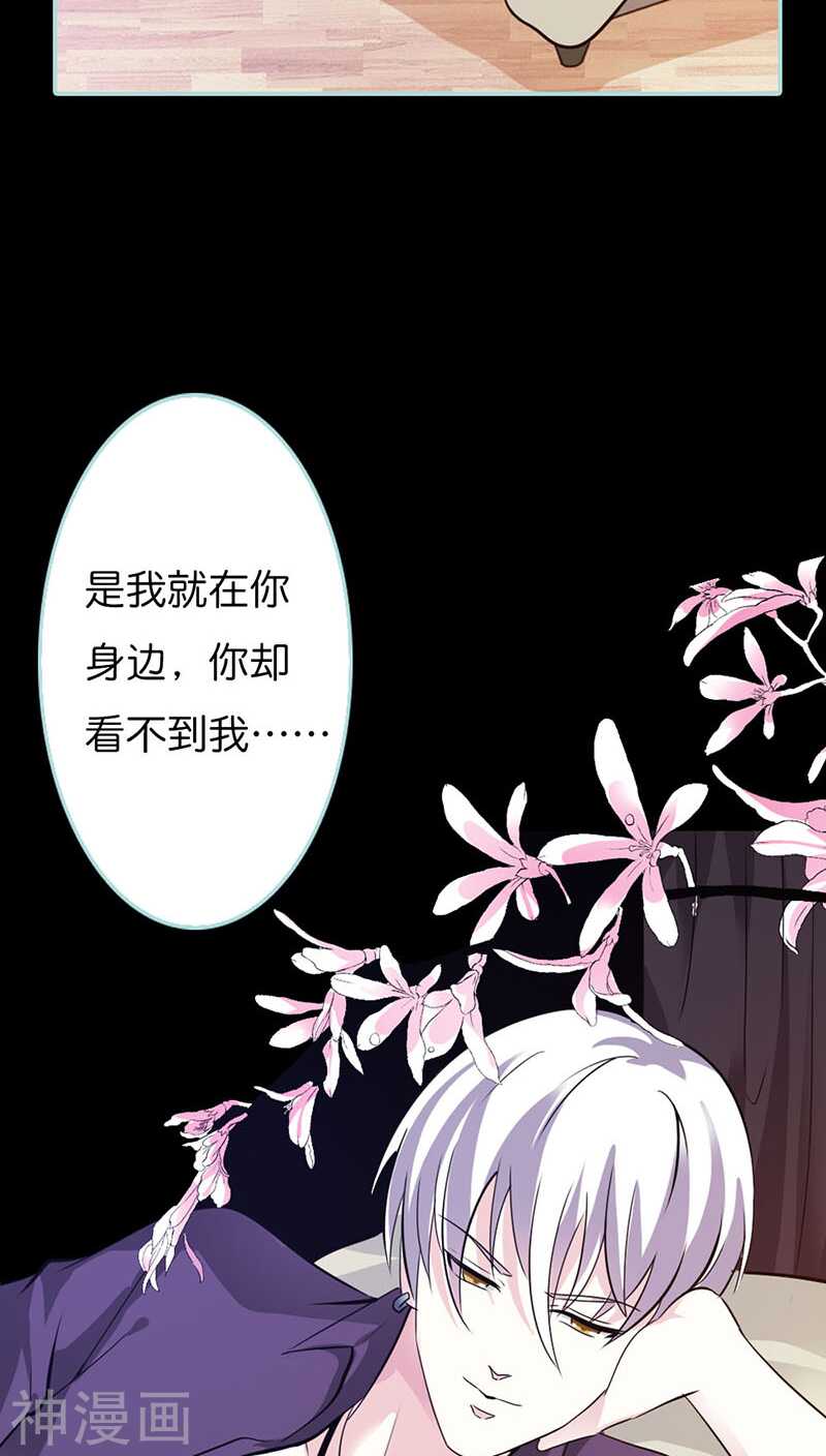 第40话 你是笨蛋吗-第41话