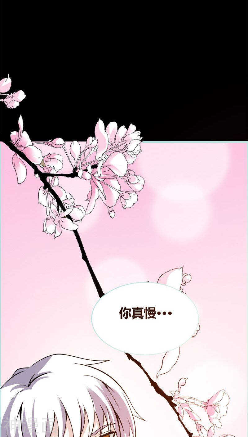 第46话 我的春天终于来啦-第47话