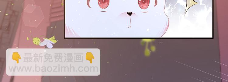第2话 无奈成宠(1/2)-第3话