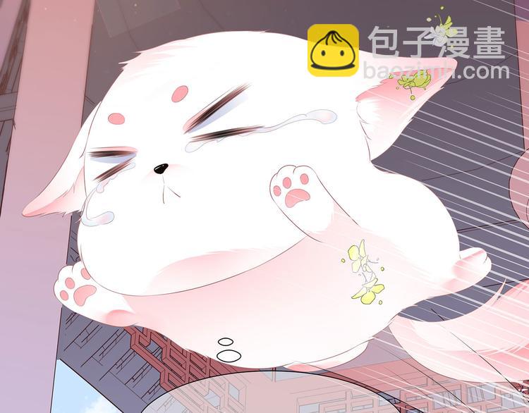 第2话 无奈成宠(1/2)-第3话