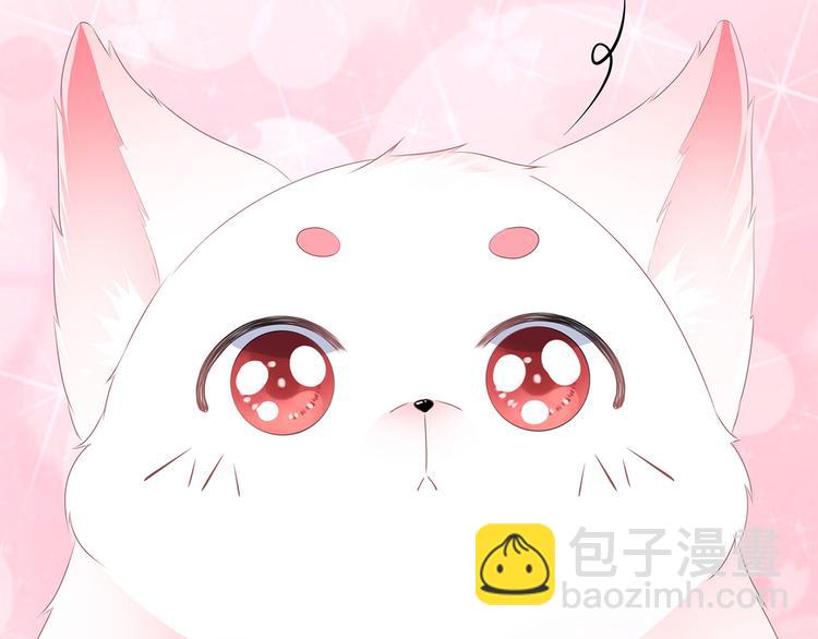 第2话 无奈成宠(1/2)-第3话