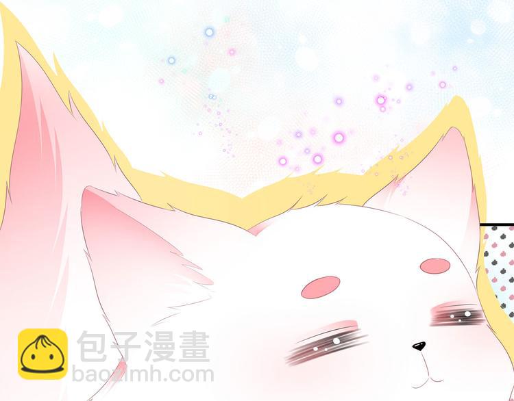 第4话 萌宠生涯(1/2)-第5话
