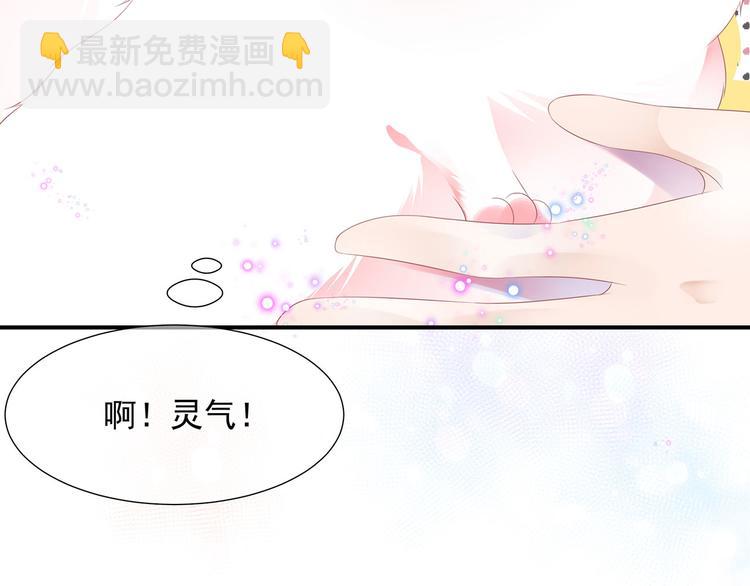 第4话 萌宠生涯(1/2)-第5话