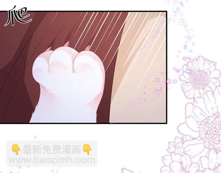 第4话 萌宠生涯(1/2)-第5话