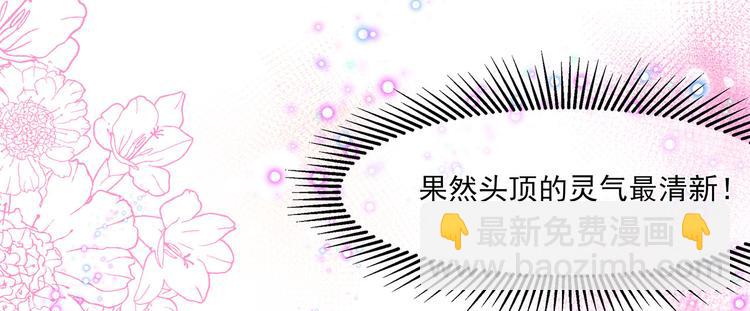 第4话 萌宠生涯(1/2)-第5话