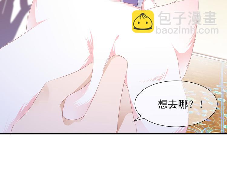 第4话 萌宠生涯(1/2)-第5话