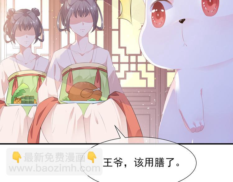 第4话 萌宠生涯(1/2)-第5话