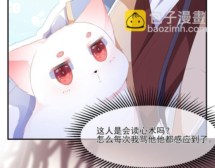 第4话 萌宠生涯(1/2)-第5话