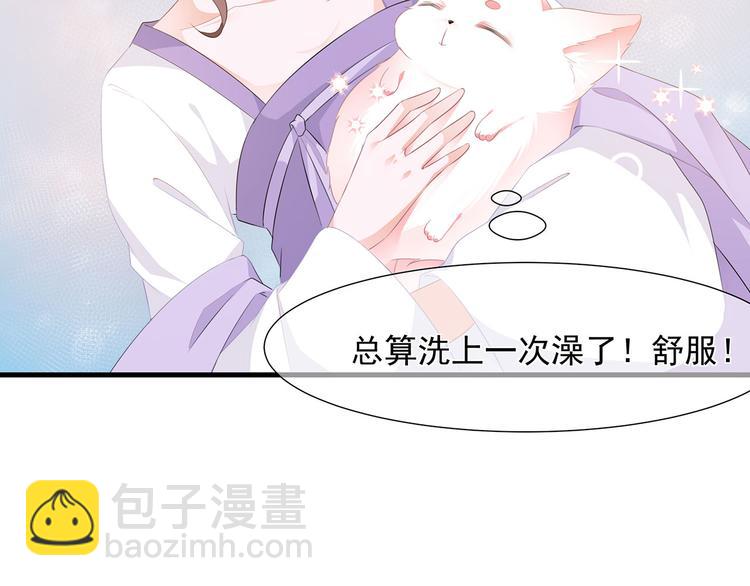 第4话 萌宠生涯(1/2)-第5话