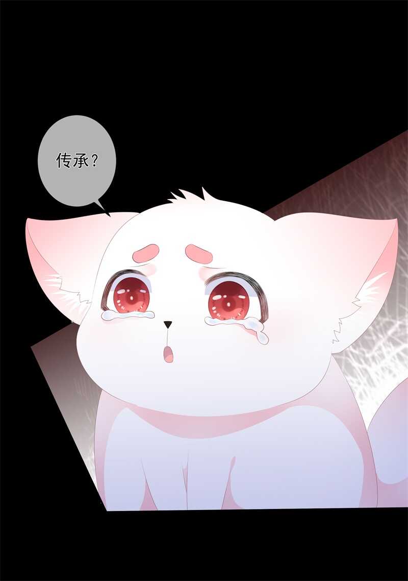 第90话 灵狐传承-第99话