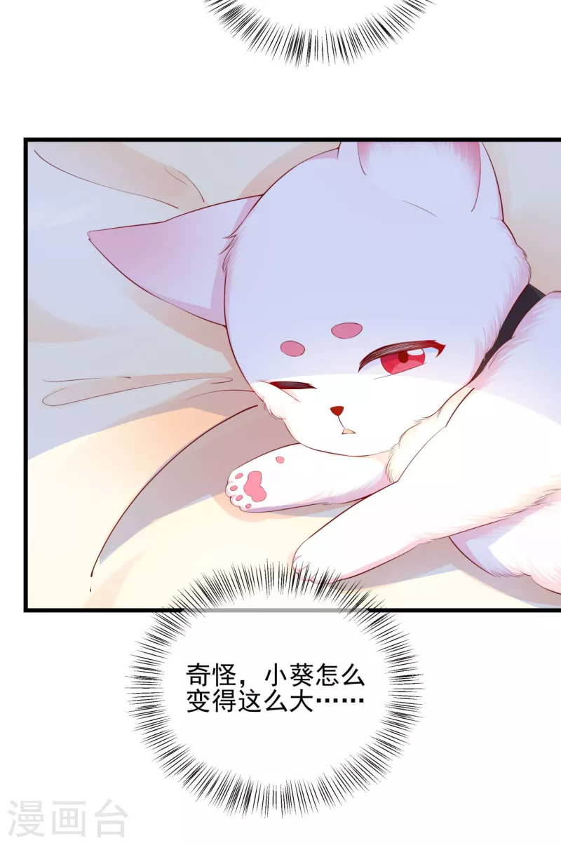 第9话 骗局！-第11话