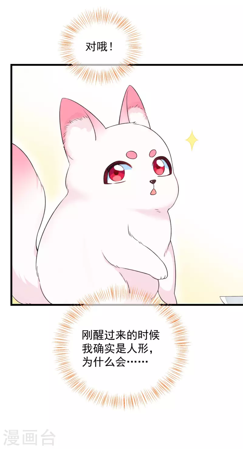 第2话 未婚夫-第3话