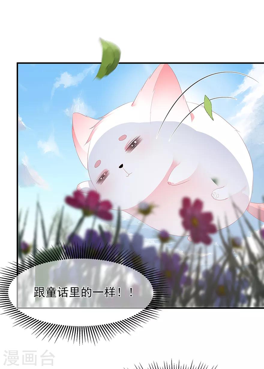第10话 招惹祸端-第11话