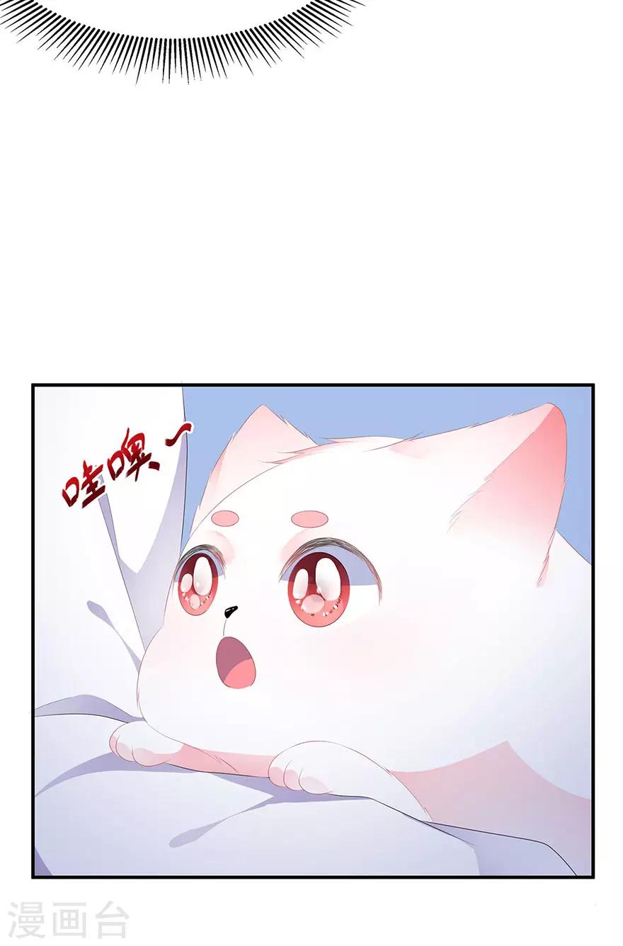 第17话 灵狐入宫-第19话