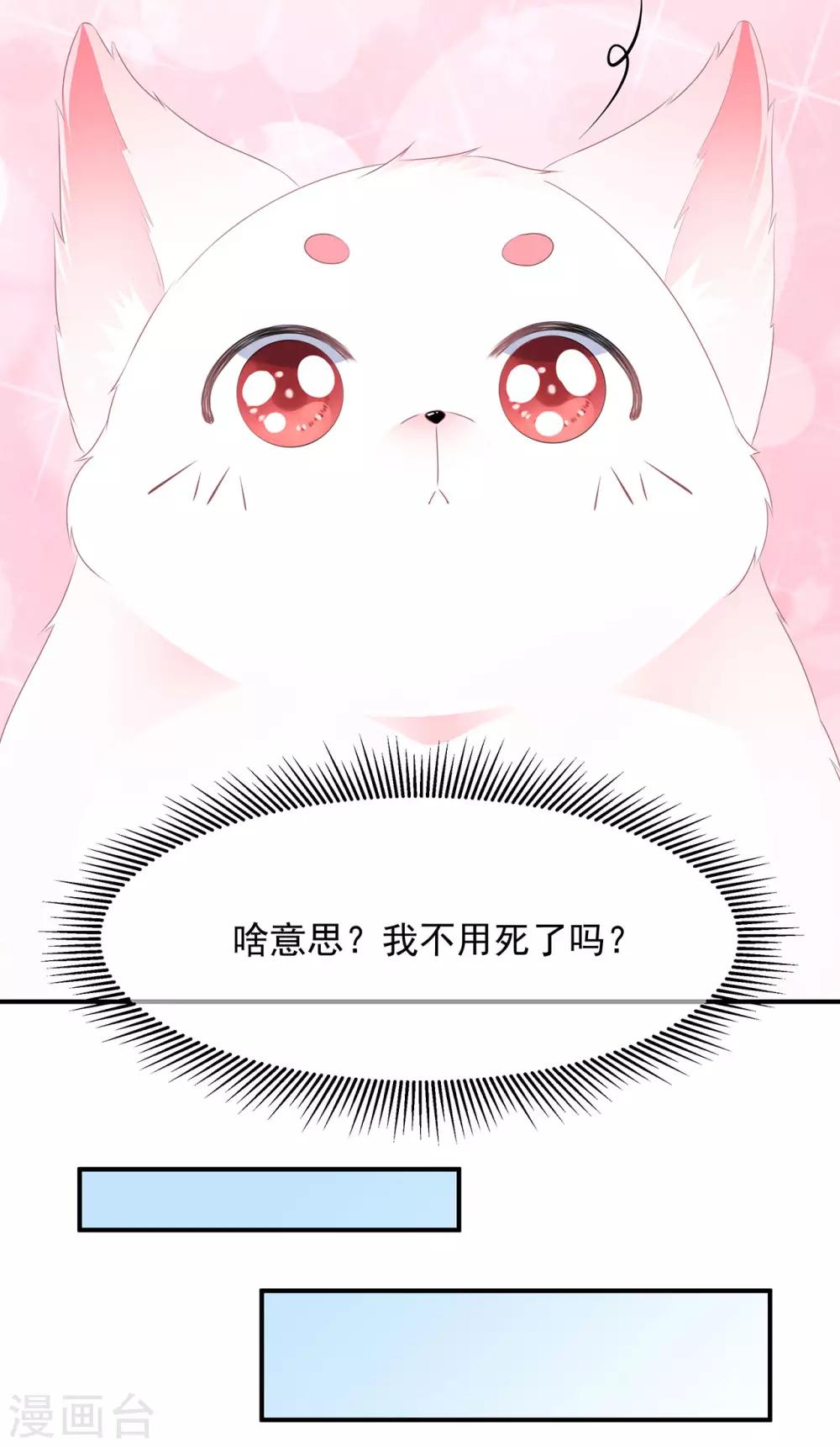 第2话 无奈成宠-第3话