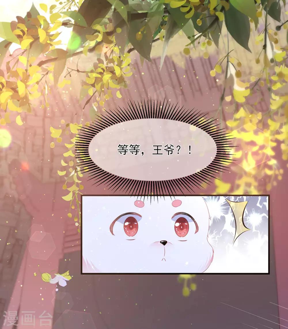 第2话 无奈成宠-第3话