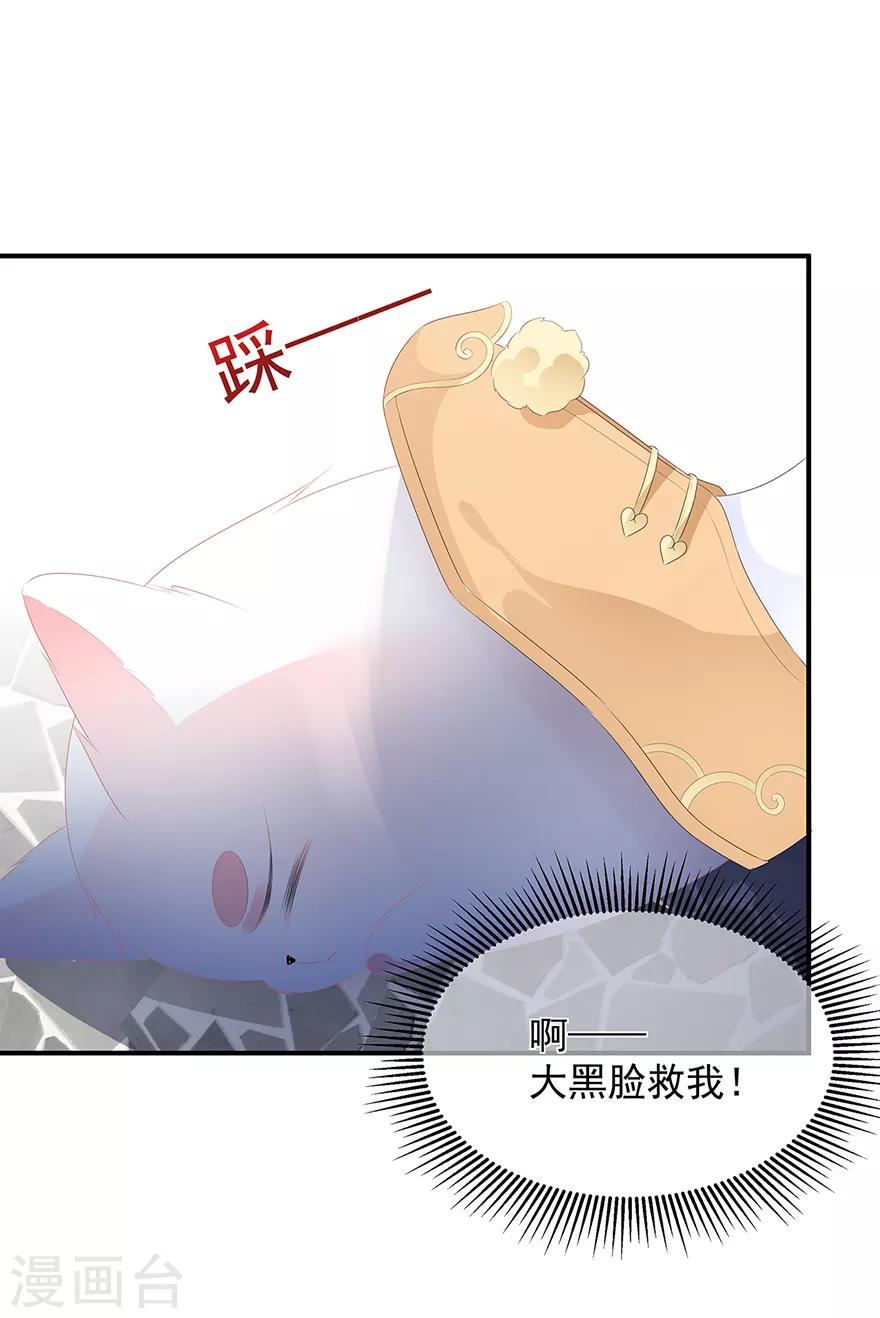 第19话 法术显灵-第21话