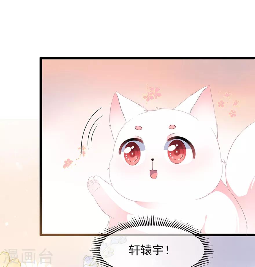 第25话 宸王下厨-第27话