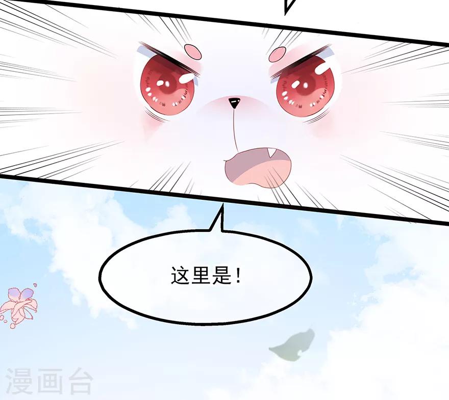 第29话 美人身世(1/2)-第33话