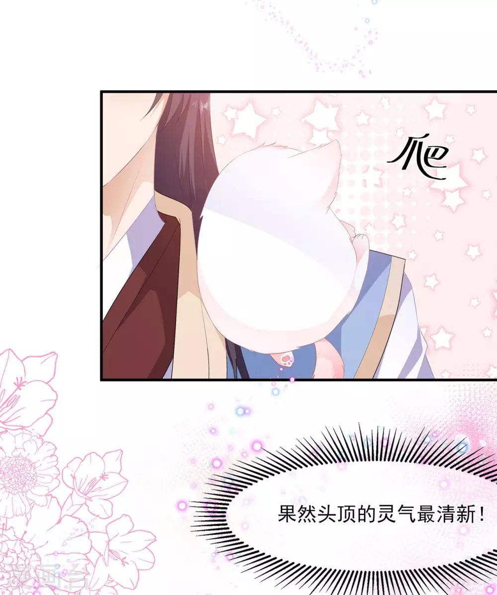 第4话 萌宠生涯-第5话