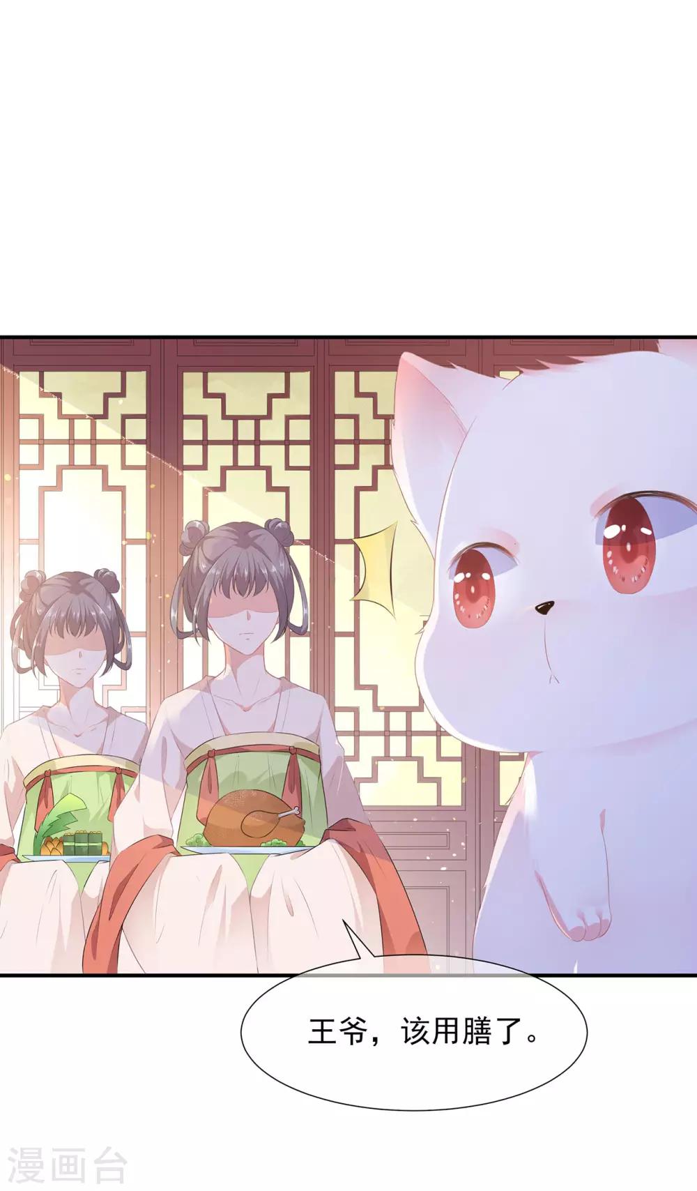第4话 萌宠生涯-第5话