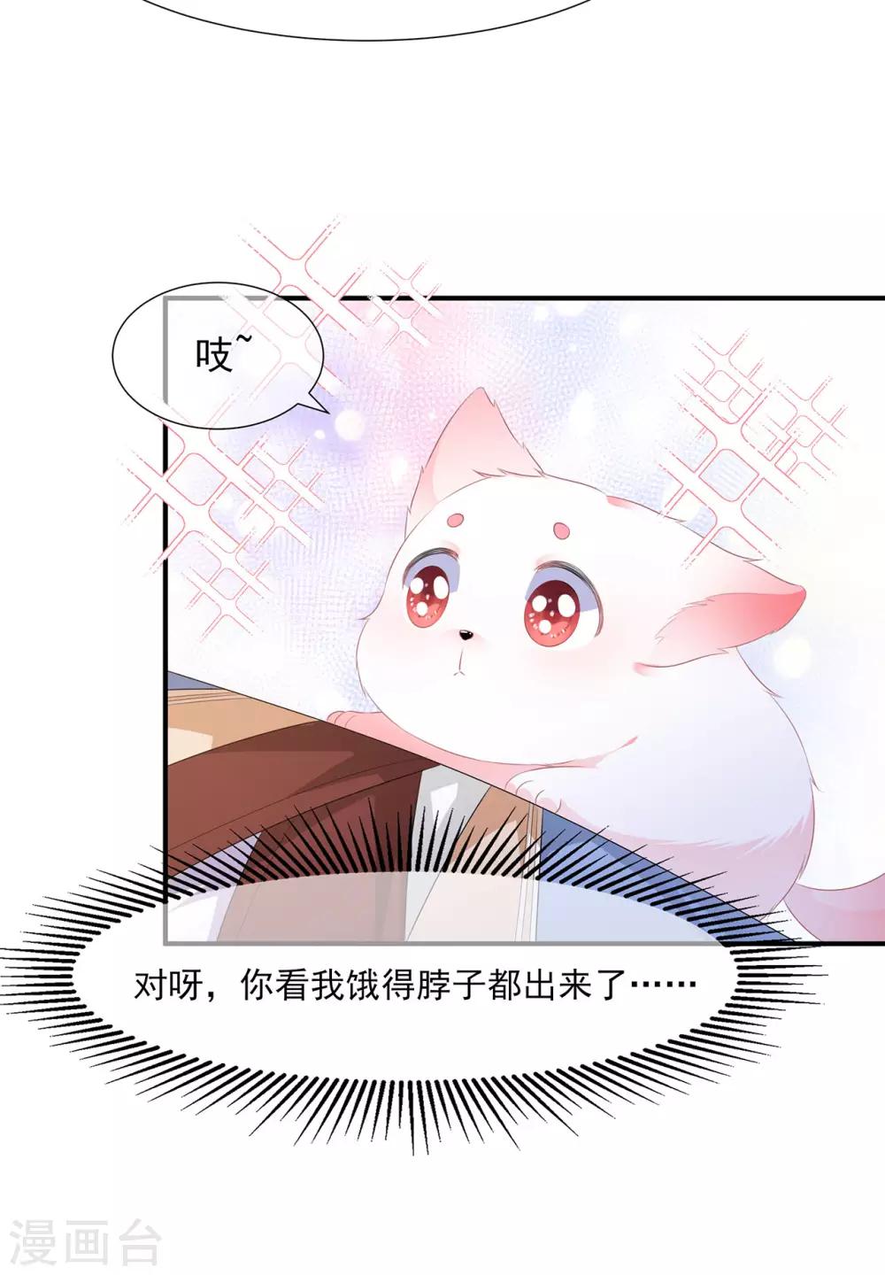 第4话 萌宠生涯-第5话