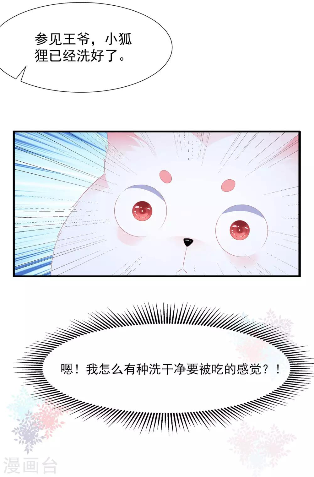 第4话 萌宠生涯-第5话