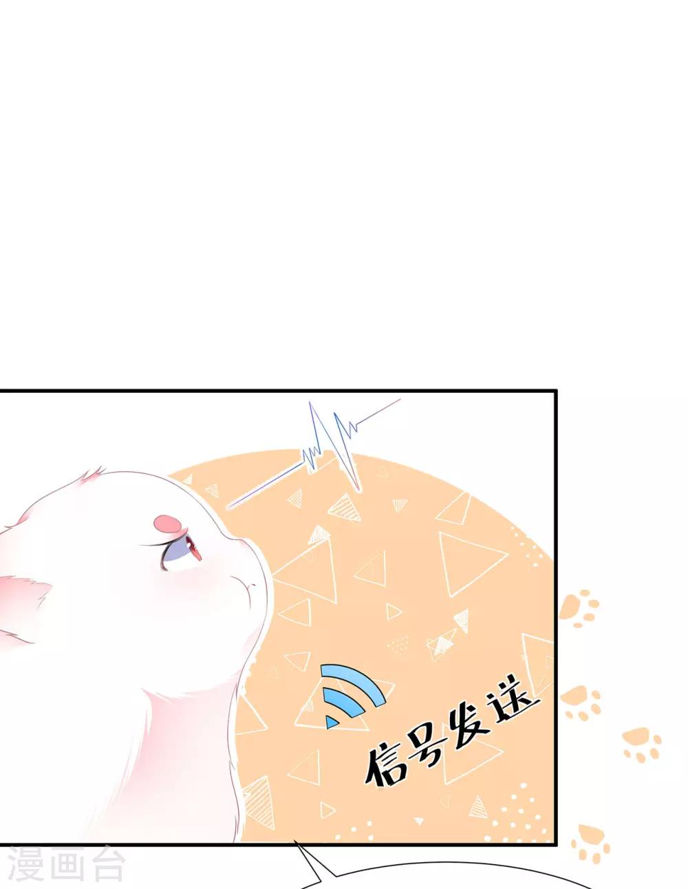 第4话 萌宠生涯-第5话