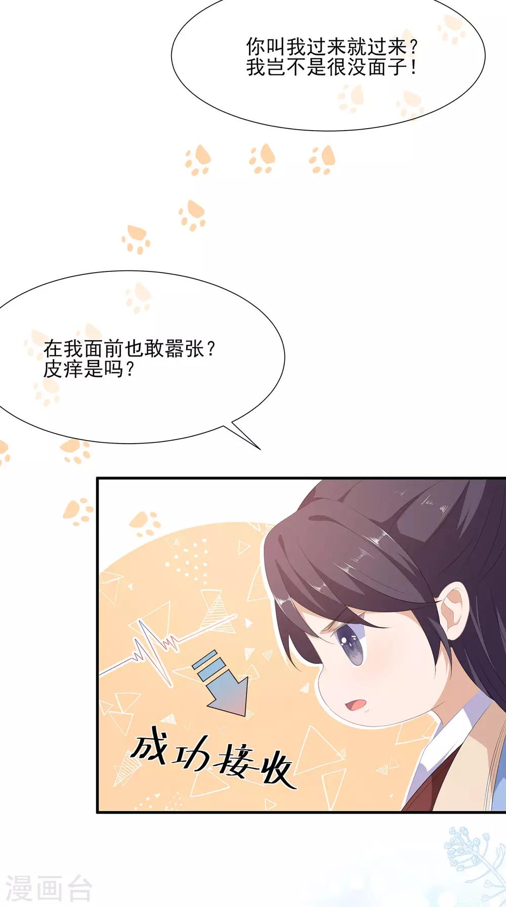 第4话 萌宠生涯-第5话
