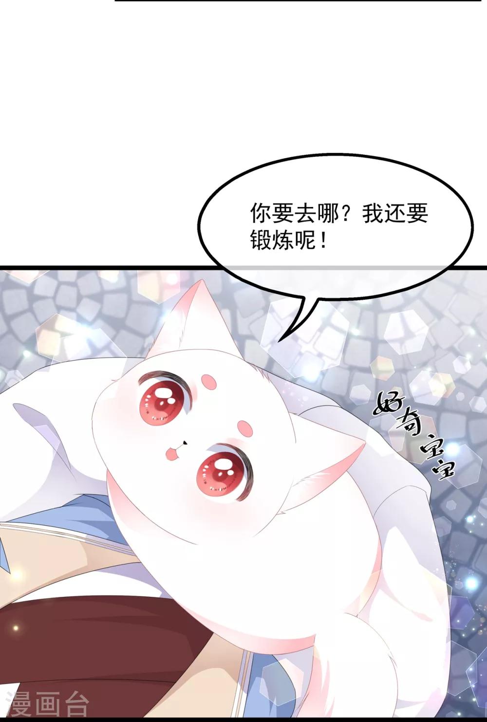 第39话 宸王母妃-第45话