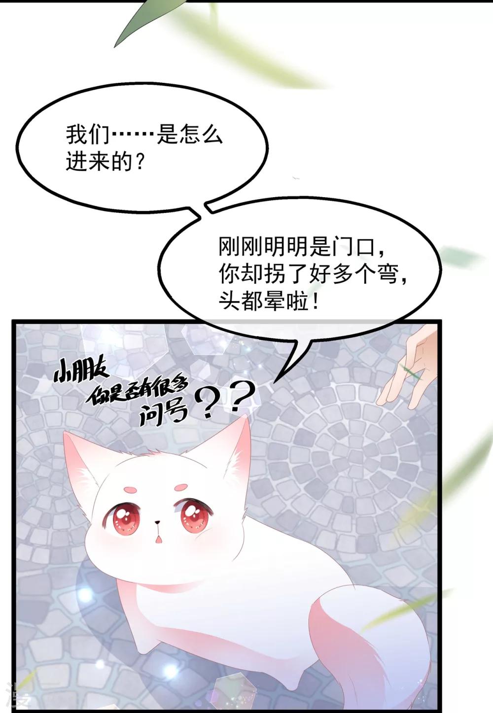 第39话 宸王母妃-第45话