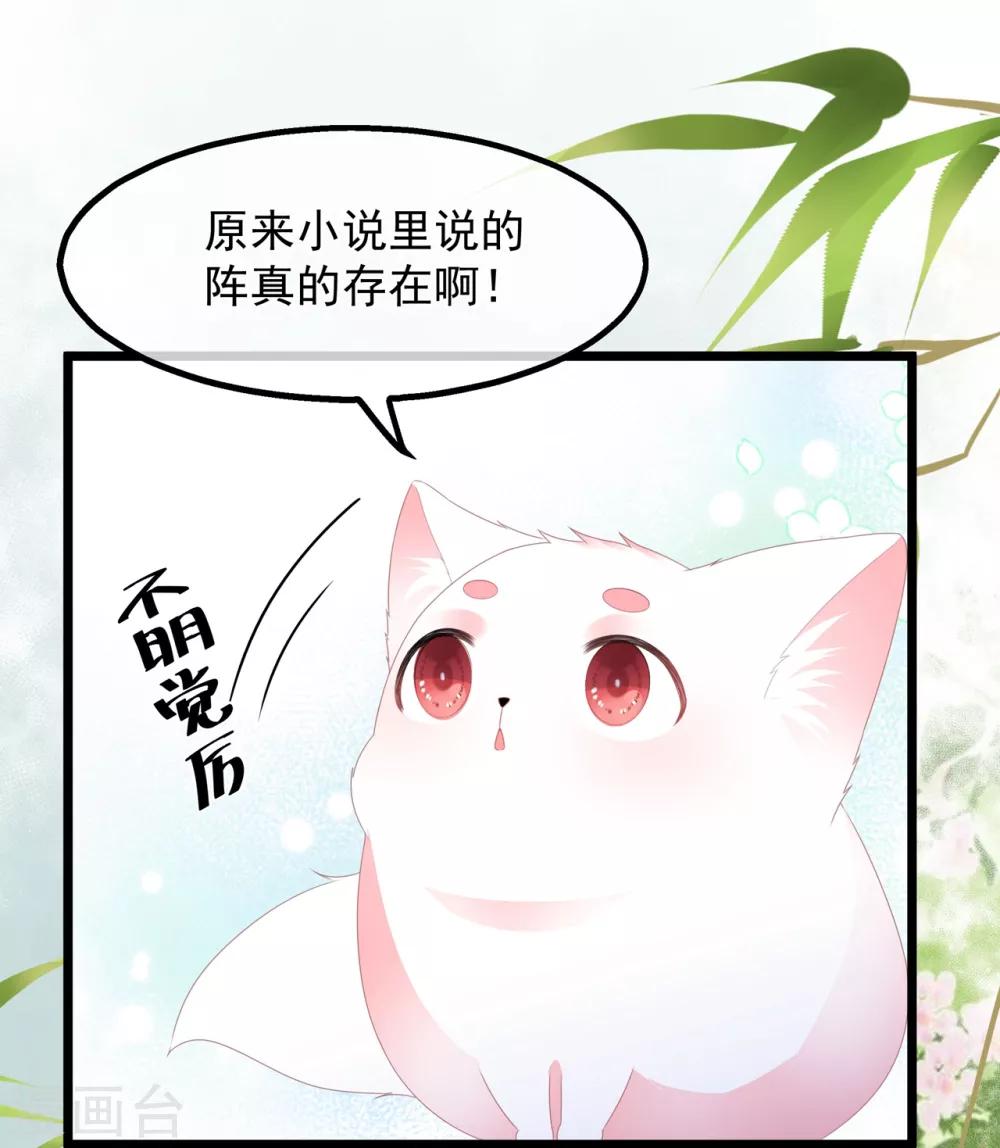 第39话 宸王母妃-第45话