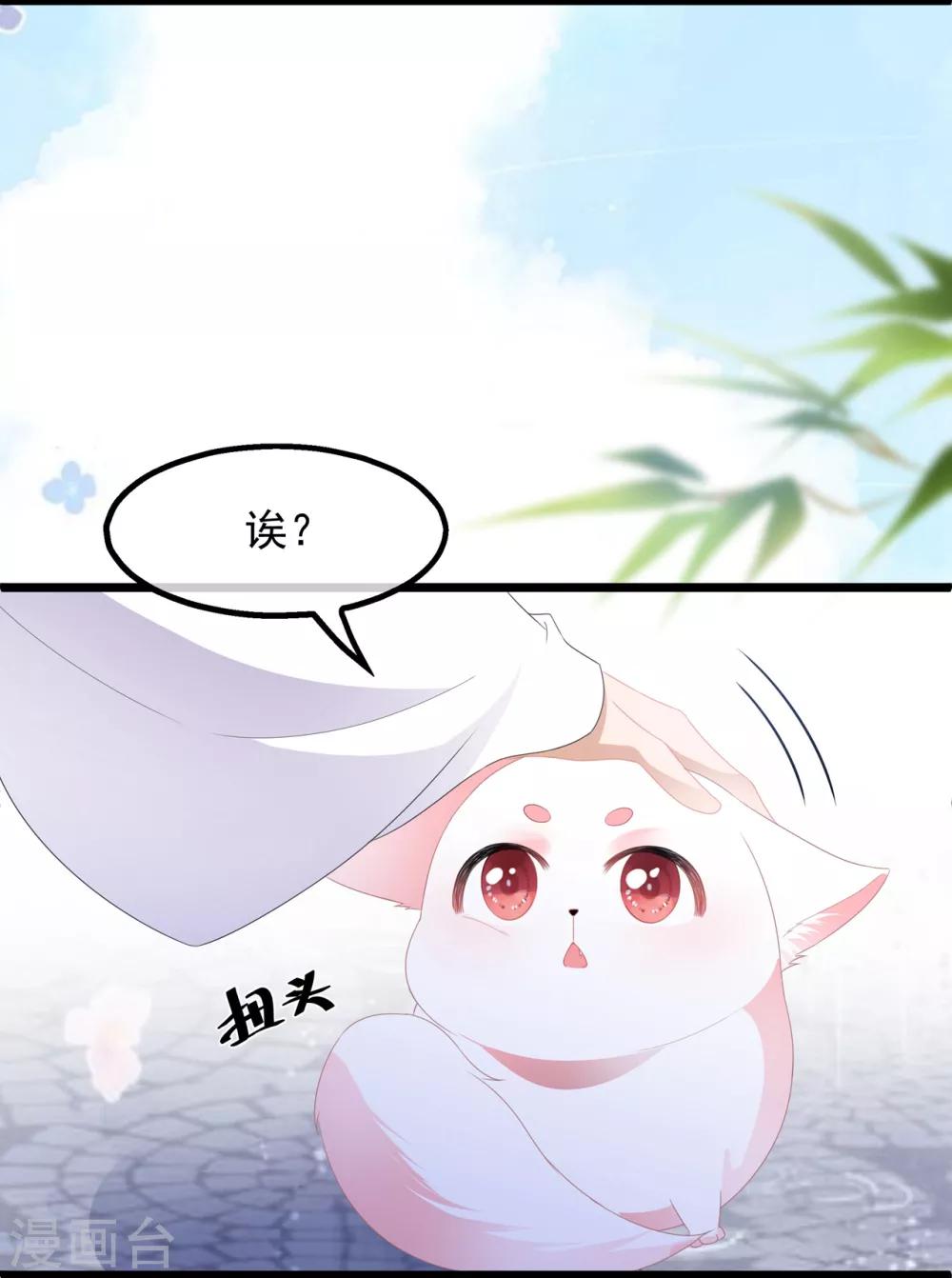 第39话 宸王母妃-第45话