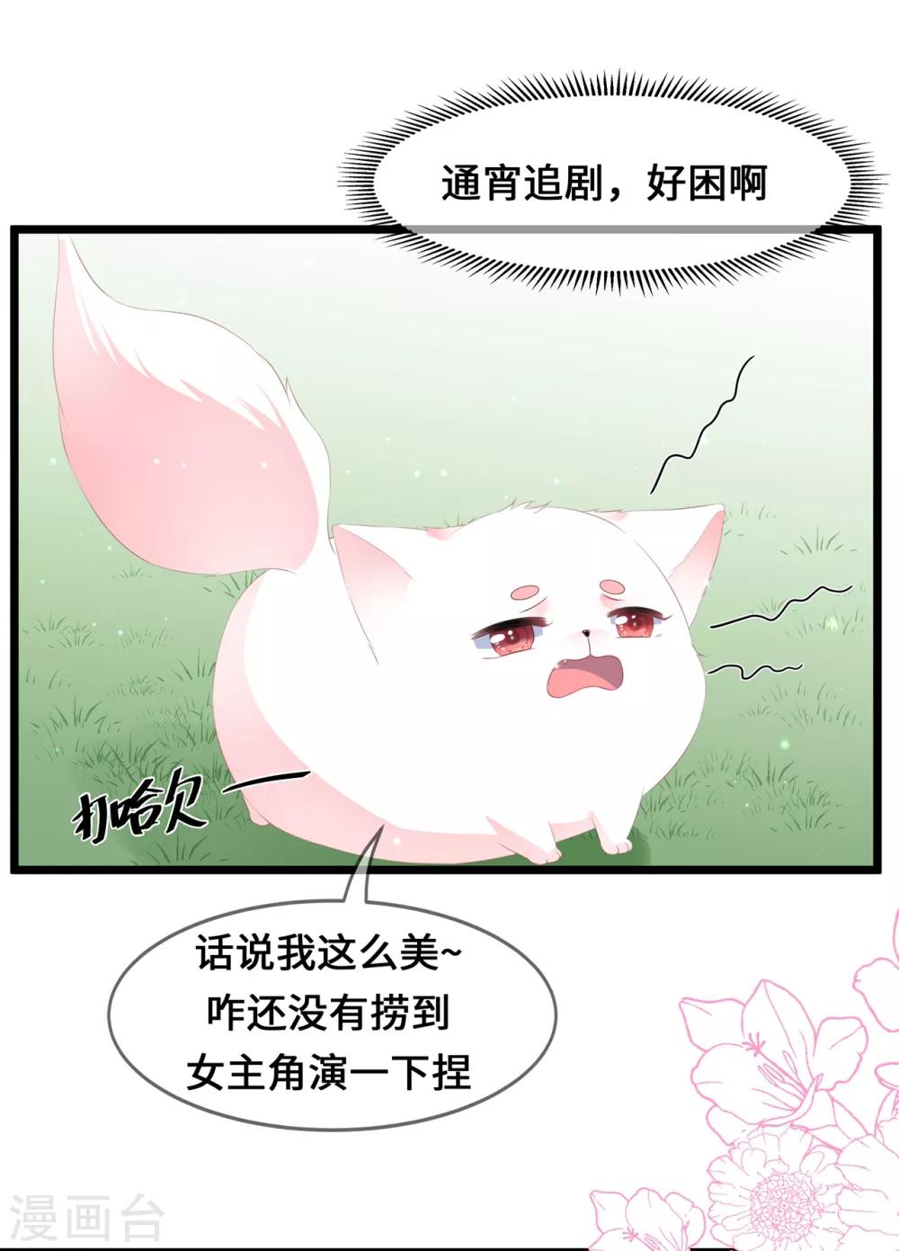 第39话 宸王母妃-第45话