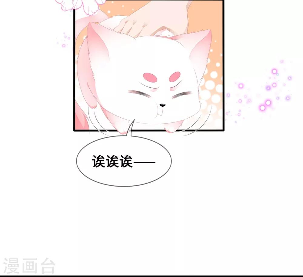 第39话 宸王母妃-第45话