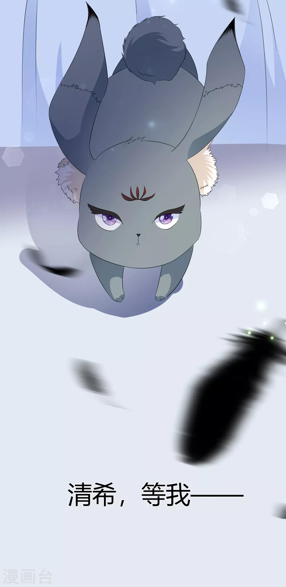 番外3 大灰兔的秘密-第77话