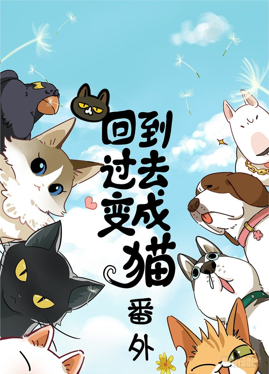 第1爪 猫？猫！-第1话