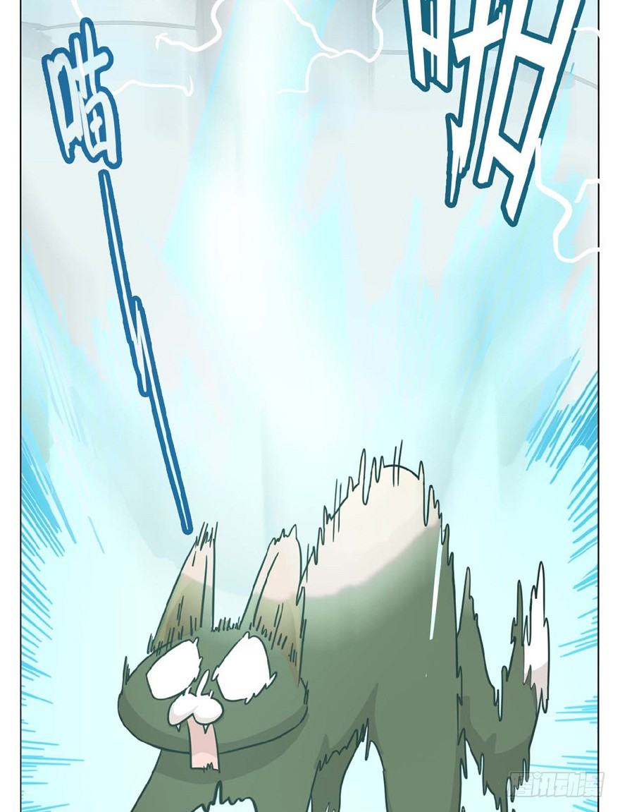第1爪 猫？猫！-第1话